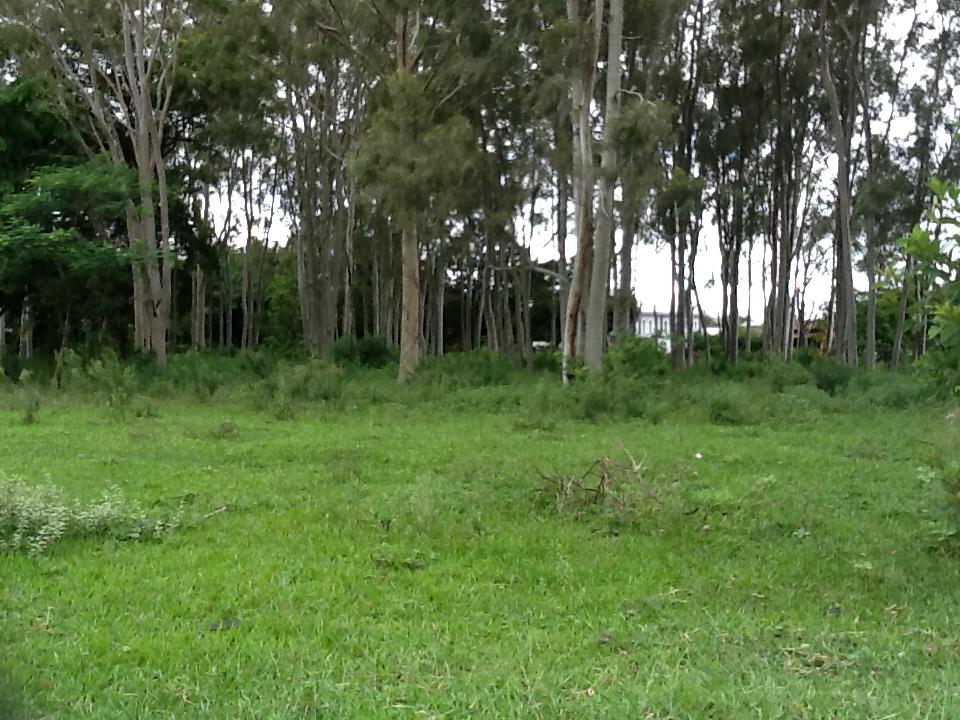 Terreno - Loteamento João Tamborindeguy Fernandes / 12441-120